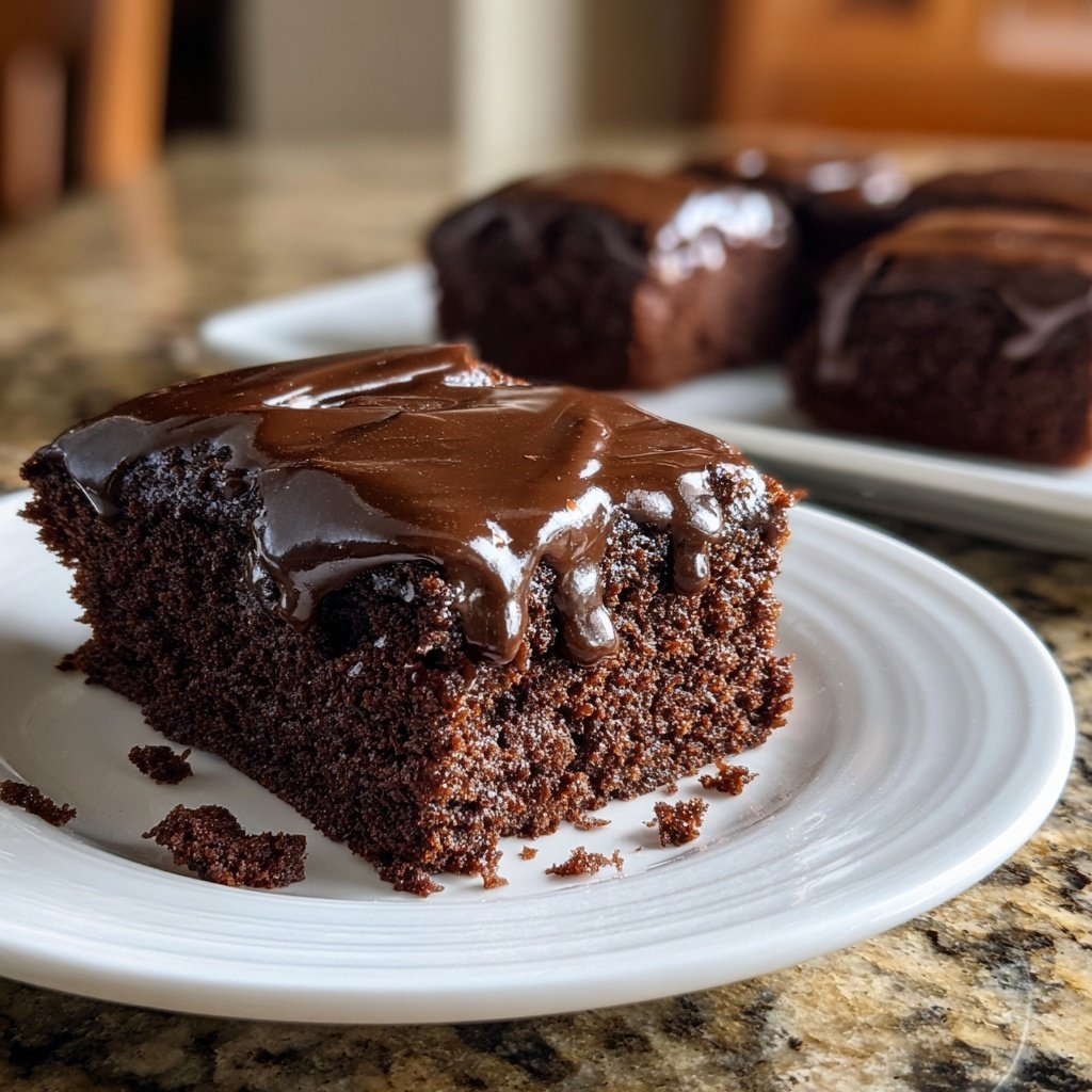 Moist Dark Cocoa Snack Cake